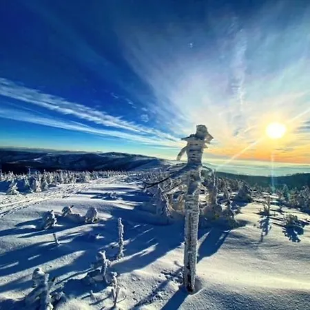 Lunita Blue Bb ביילסקו-ביאלה