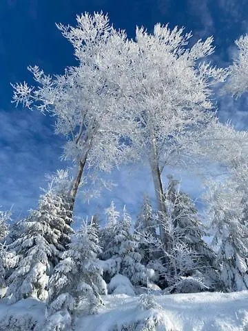 דירה Lunita Blue Bb *