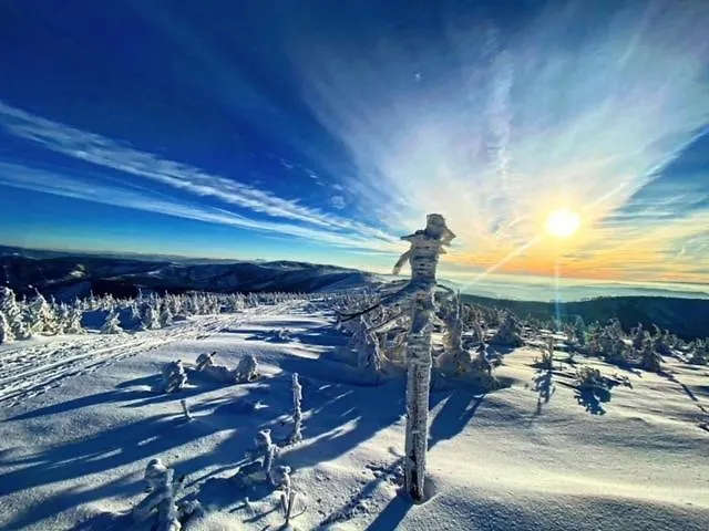 Lunita Blue Bb ביילסקו-ביאלה